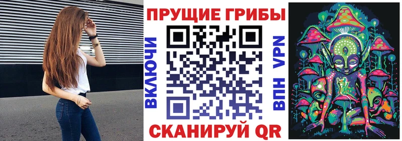 купить наркотики цена  Волгореченск  Галлюциногенные грибы Psilocybine cubensis 